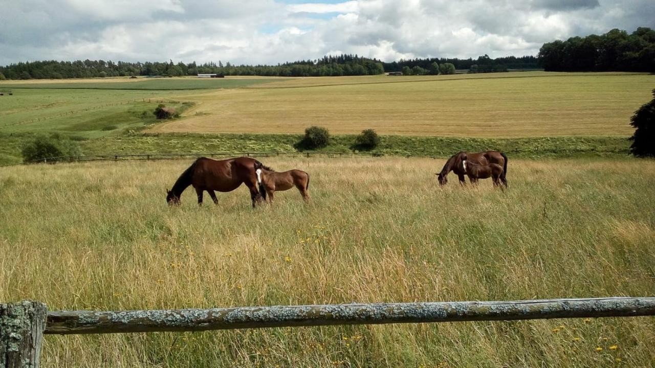Schoene Aussicht Vöhl Buitenkant foto
